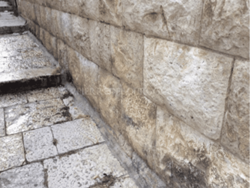 Antique Limestone Facing Stone